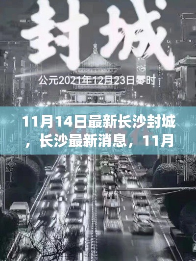 長沙封城最新消息，11月14日封城通知詳解，小紅書帶你掌握最新動(dòng)態(tài)