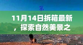 11月14日最新拆箱體驗(yàn)，自然美景之旅，尋找內(nèi)心的寧靜與喜悅