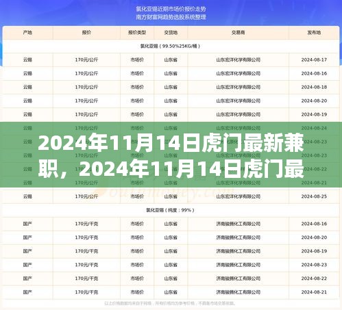 2024年11月14日虎門最新兼職，機(jī)遇與挑戰(zhàn)并存