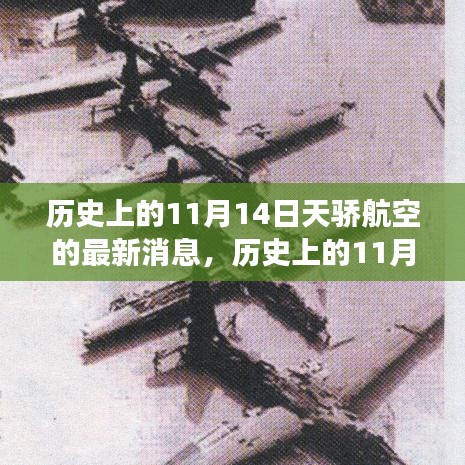 歷史上的天驕航空，探尋自然美景與心靈寧靜之旅的啟程日——11月14日最新消息