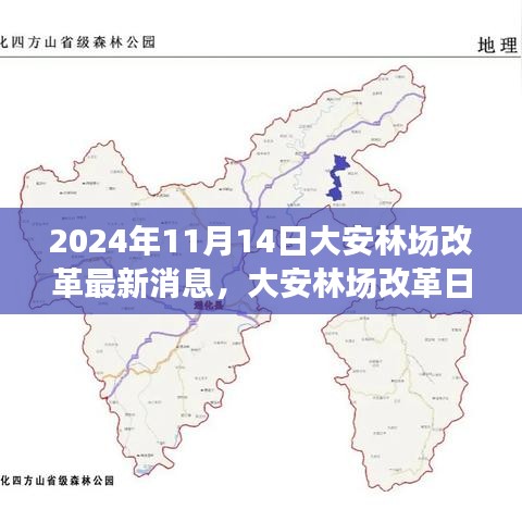 大安林場改革故事會，最新消息與溫馨改革之旅（2024年11月14日）