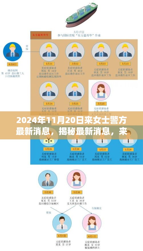 揭秘來女士案件最新進展與警方深度調(diào)查，最新消息披露于2024年11月20日