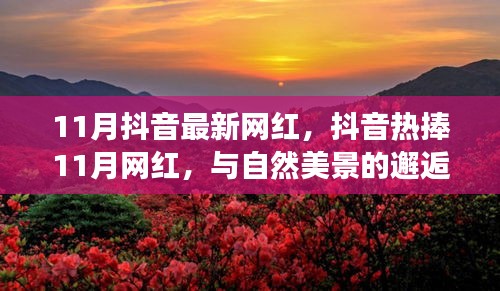 抖音熱捧的11月網(wǎng)紅，與自然美景的邂逅與內(nèi)心寧靜之旅