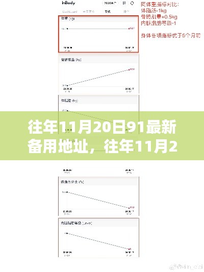 往年11月20日最新備用地址全面評測與介紹