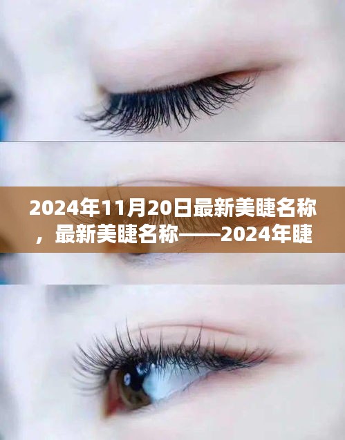 最新美睫名稱揭秘，2024年睫毛美學(xué)的革命性變革