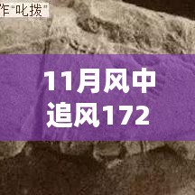 揭秘，風(fēng)中追風(fēng)最新裝備的時(shí)代地位與影響，逐風(fēng)而行，價(jià)值高達(dá)172萬(wàn)裝備重磅登場(chǎng)！