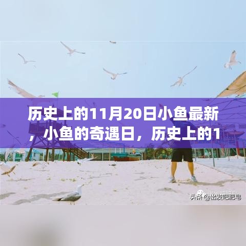 歷史上的11月20日，小魚奇遇日的溫馨小事回顧