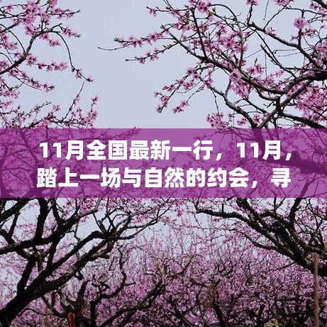 11月踏自然之旅，內(nèi)心的桃花源探尋記