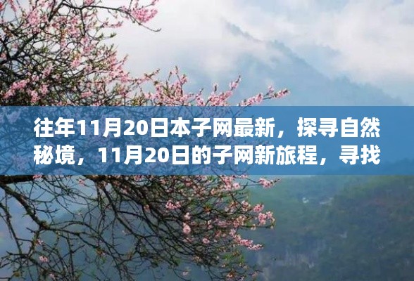 往年11月20日本子網(wǎng)最新，探尋自然秘境，11月20日的子網(wǎng)新旅程，尋找內(nèi)心的桃花源