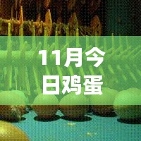 11月雞蛋價格最新行情解析，多方觀點交織的思考