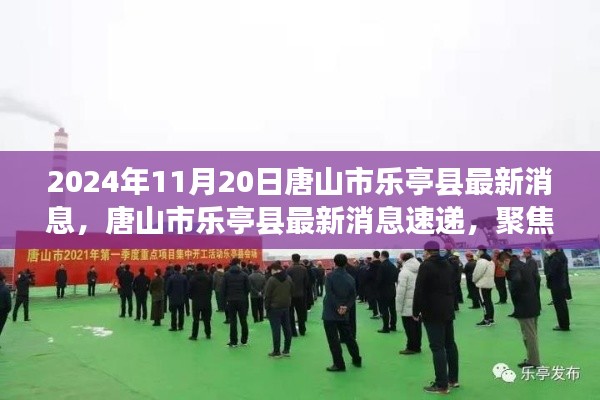 聚焦唐山市樂亭縣發(fā)展動態(tài)，最新消息速遞（2024年11月20日版）