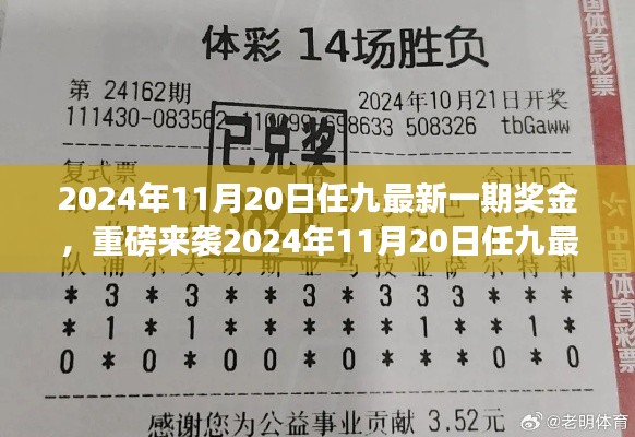 揭秘2024年11月20日任九最新一期獎金揭曉，財富密碼大解密！