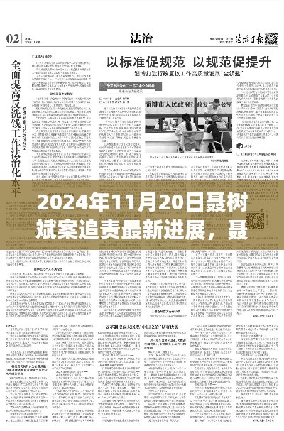 聶樹斌案追責(zé)最新進(jìn)展深度解析，2024年11月20日追責(zé)進(jìn)展及評測