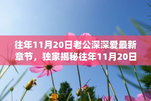 往年11月20日老公深情與高科技融合，全新智能伴侶揭秘，顛覆想象！