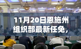 恩施州組織部最新任免動(dòng)態(tài)解析及用戶群體分析，特性、體驗(yàn)與競(jìng)品對(duì)比報(bào)告