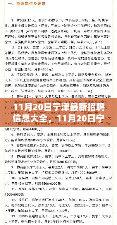 11月20日寧津最新招聘信息匯總，全面解讀招聘平臺特性與體驗