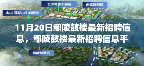 11月20日鄢陵鼓樓最新招聘信息及平臺深度評測，特性、體驗(yàn)與用戶洞察