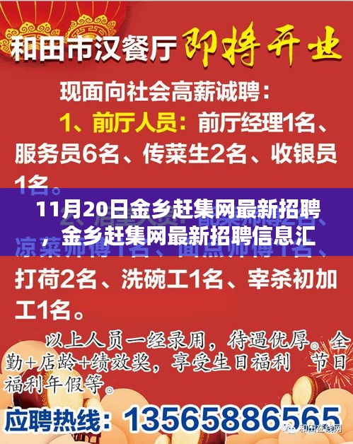 11月20日金鄉(xiāng)趕集網(wǎng)最新招聘匯總，熱點崗位解析與招聘信息