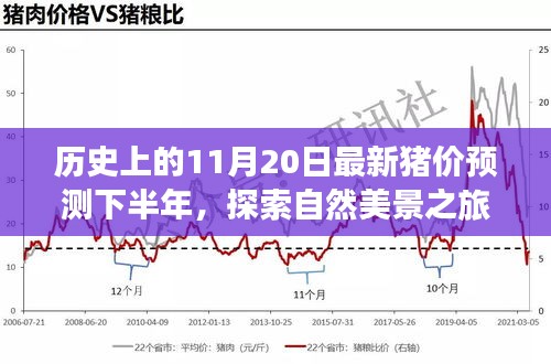 歷史上的11月20日豬價(jià)預(yù)測(cè)與心靈寧?kù)o尋覓之旅，自然美景探索