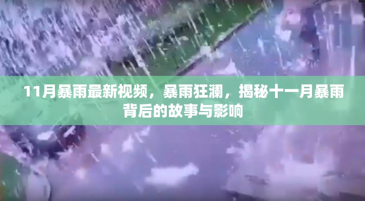 揭秘十一月暴雨背后的故事與影響，暴雨狂瀾最新視頻報(bào)道