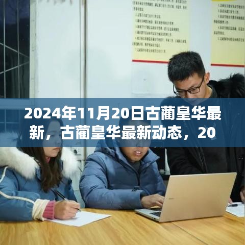 古藺皇華最新動(dòng)態(tài)深度解析，2024年11月20日報(bào)告