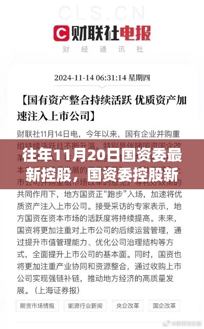 揭秘，國資委控股新紀(jì)元背后的重磅事件與影響，歷年11月20日的回顧與展望