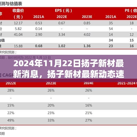 2024年11月22日揚(yáng)子新材最新消息，揚(yáng)子新材最新動(dòng)態(tài)速遞，2024年11月22日的三大看點(diǎn)