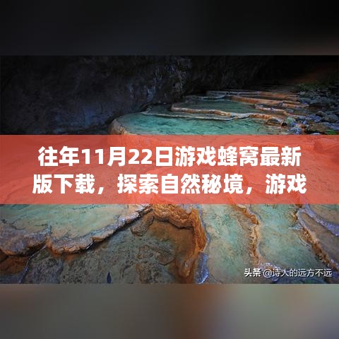 游戲蜂窩帶你探索自然秘境，最新下載，心靈平靜之旅