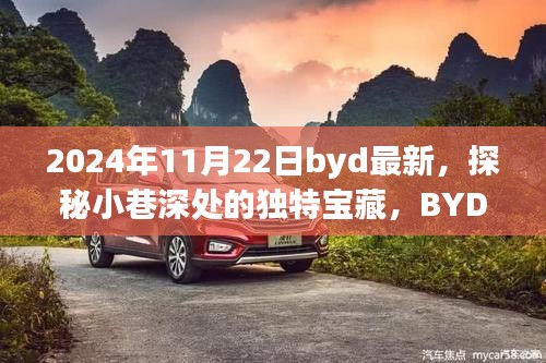 探秘小巷深處的獨(dú)特寶藏，BYD最新隱藏版特色小店揭秘（2024年11月22日）