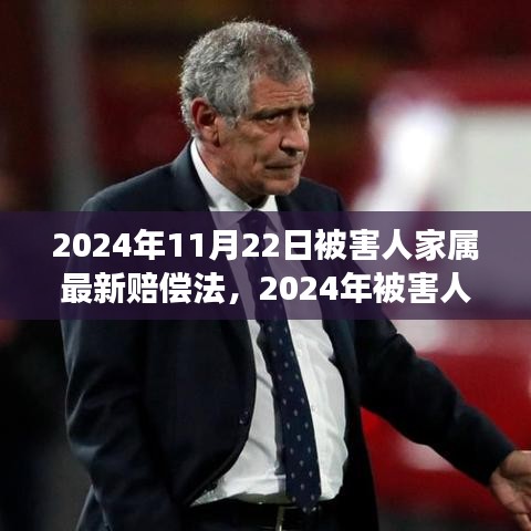 深度解讀2024年被害人家屬賠償法，背景、進展與影響