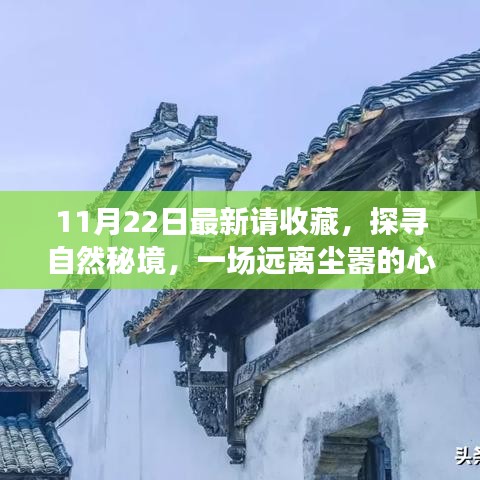 11月22日探尋自然秘境之旅，心靈啟程，珍藏美好瞬間