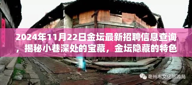 揭秘金壇隱藏特色小店與最新招聘信息奇遇記，2024年11月22日金壇招聘信息深度查詢