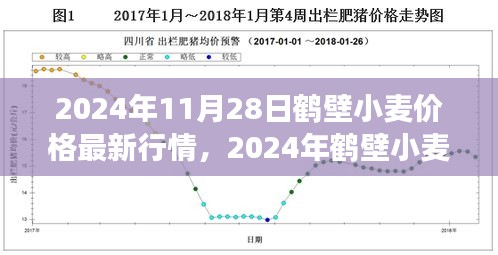 2024年鶴壁小麥價格最新行情及市場走勢分析，影響因素探討