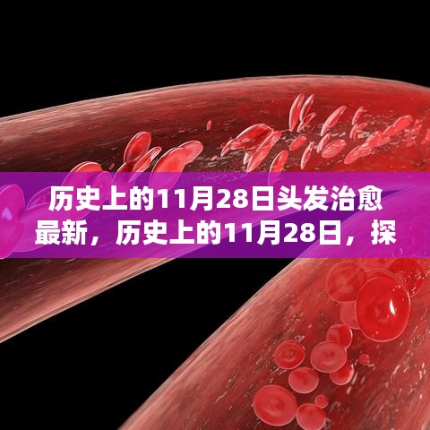 歷史上的11月28日，探尋頭發(fā)治愈的最新篇章??