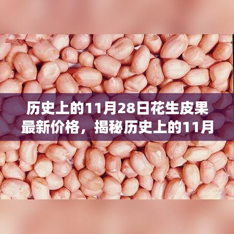 全方位解析，歷史上的11月28日花生皮果最新價格獲取與解讀步驟指南