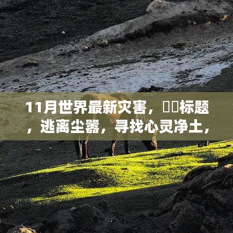 十一月探險之旅，災難邊緣的求生與心靈凈土的追尋