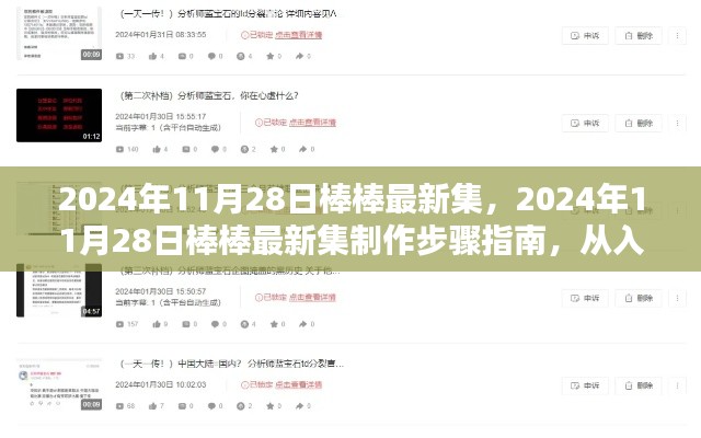 2024年11月28日棒棒最新集制作指南，從入門到精通