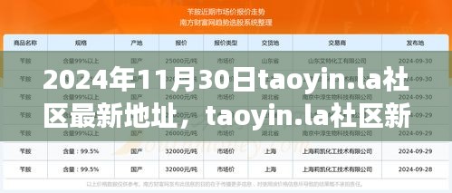 2024年11月30日taoyin.la社區(qū)新址展望，機遇與挑戰(zhàn)并存