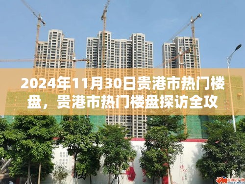 貴港市熱門樓盤探訪全攻略，購房指南（2024年11月30日）