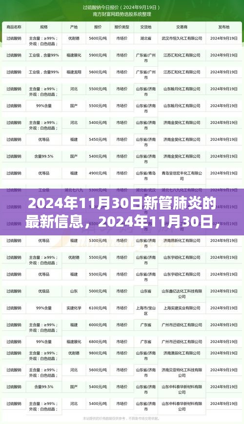 2024年11月30日新管肺炎最新動態(tài)，揭示最新篇章