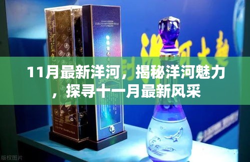 揭秘洋河魅力，十一月最新風采展示