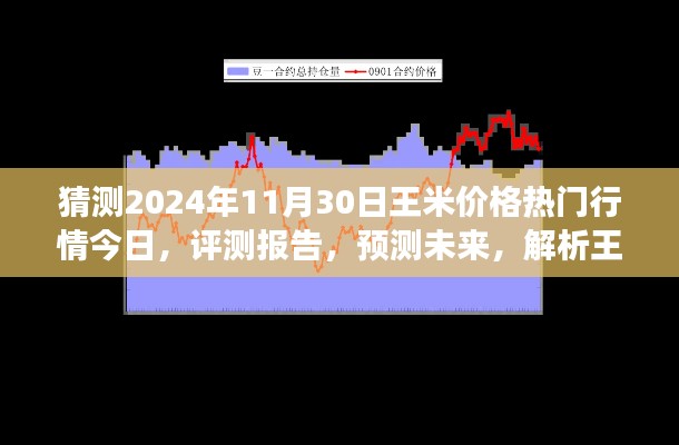 獨家解析，王米價格行情預測至2024年11月30日，今日熱門行情與未來展望評測報告