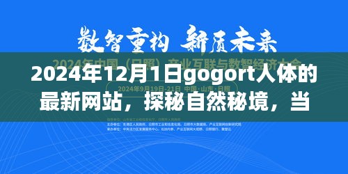 探秘gogort人體奧秘，心靈遇見奇妙旅程的秘境網(wǎng)站（最新更新）