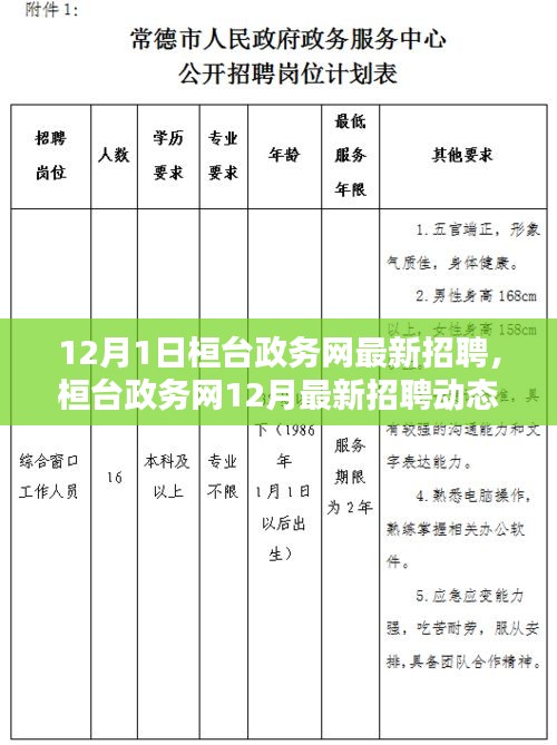 桓臺政務(wù)網(wǎng)12月最新招聘動態(tài)，開啟職業(yè)機遇之門