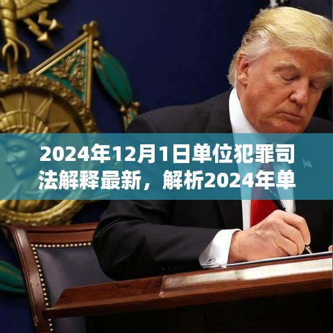 深度解析，2024年單位犯罪司法解釋最新動(dòng)態(tài)及三大要點(diǎn)探討