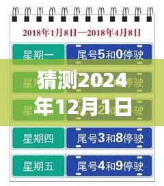 上海未來限行猜想，高架暢想曲與暖心故事，展望2024年12月的新規(guī)定