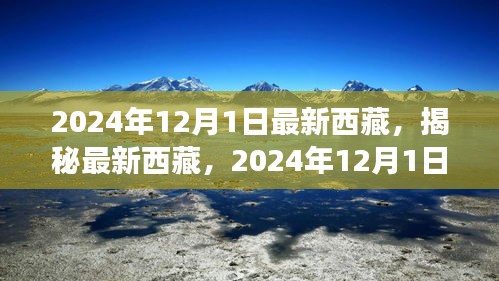 揭秘最新西藏，2024年西藏之旅的精彩瞬間（獨(dú)家報(bào)道）