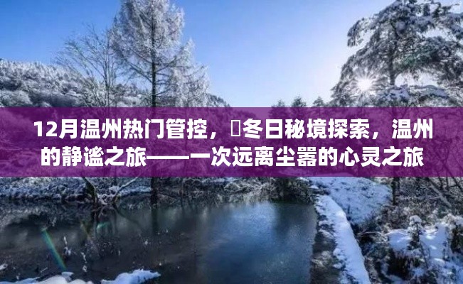 溫州冬季秘境探索，靜謐之旅的心靈之旅，12月熱門管控下的冬日秘境體驗(yàn)