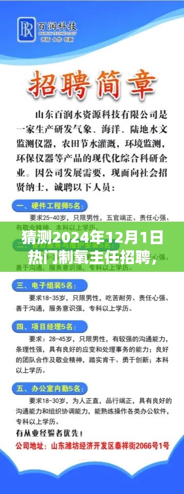 把握未來，挑戰(zhàn)熱門制氧主任崗位，2024年招聘展望與自我超越之路