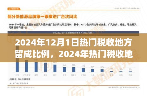 揭秘2024年熱門(mén)稅收地方留成比例，查詢與解讀指南